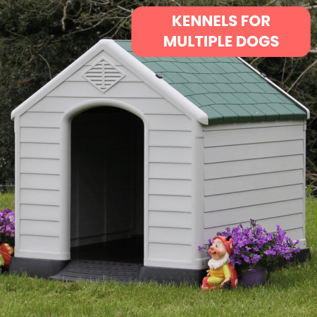 Kennels for Multiple Dogs
